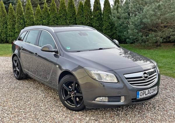 Opel Insignia cena 23900 przebieg: 252000, rok produkcji 2012 z Połaniec małe 191